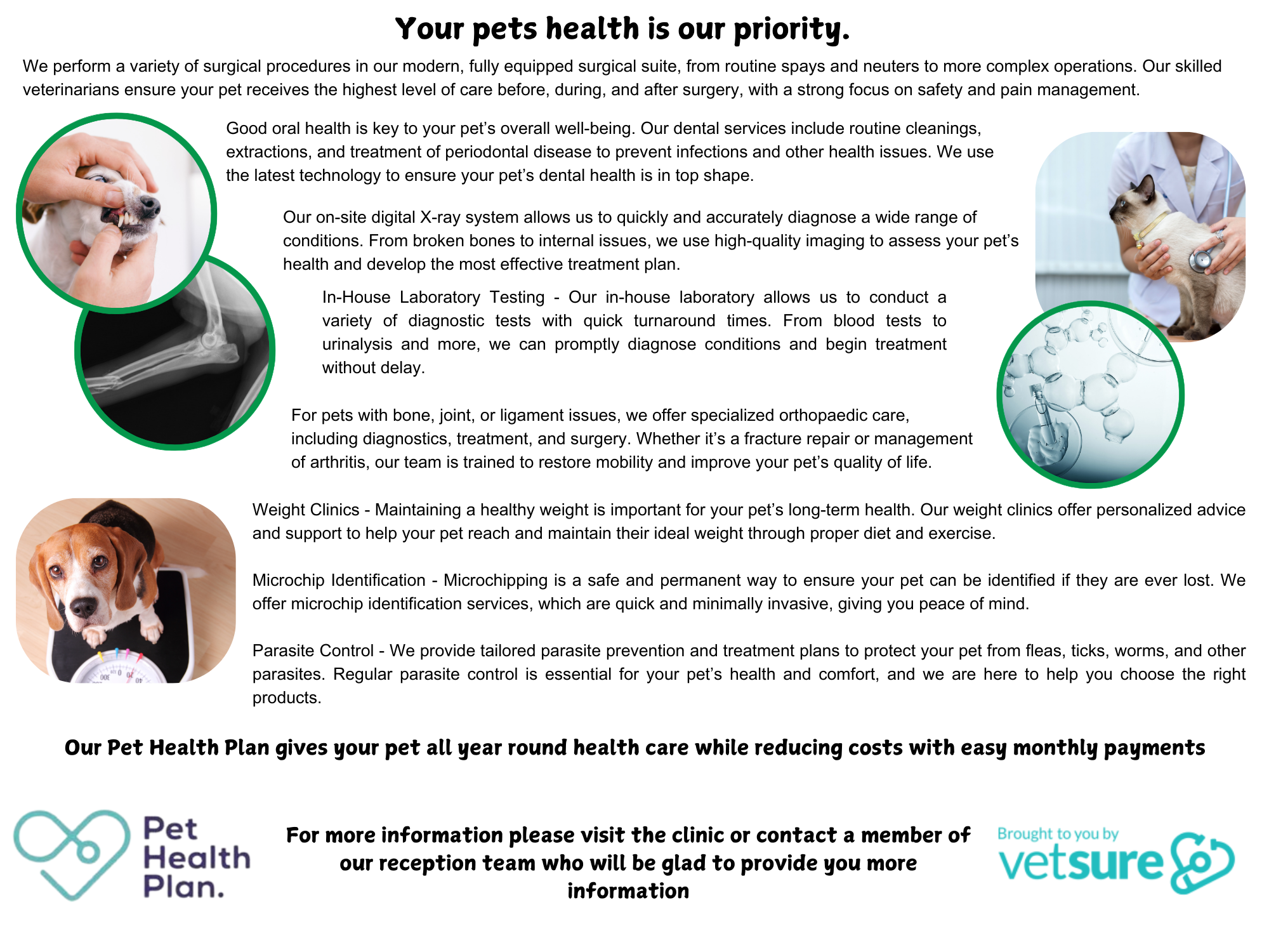 Services We Offer - Happy Paws